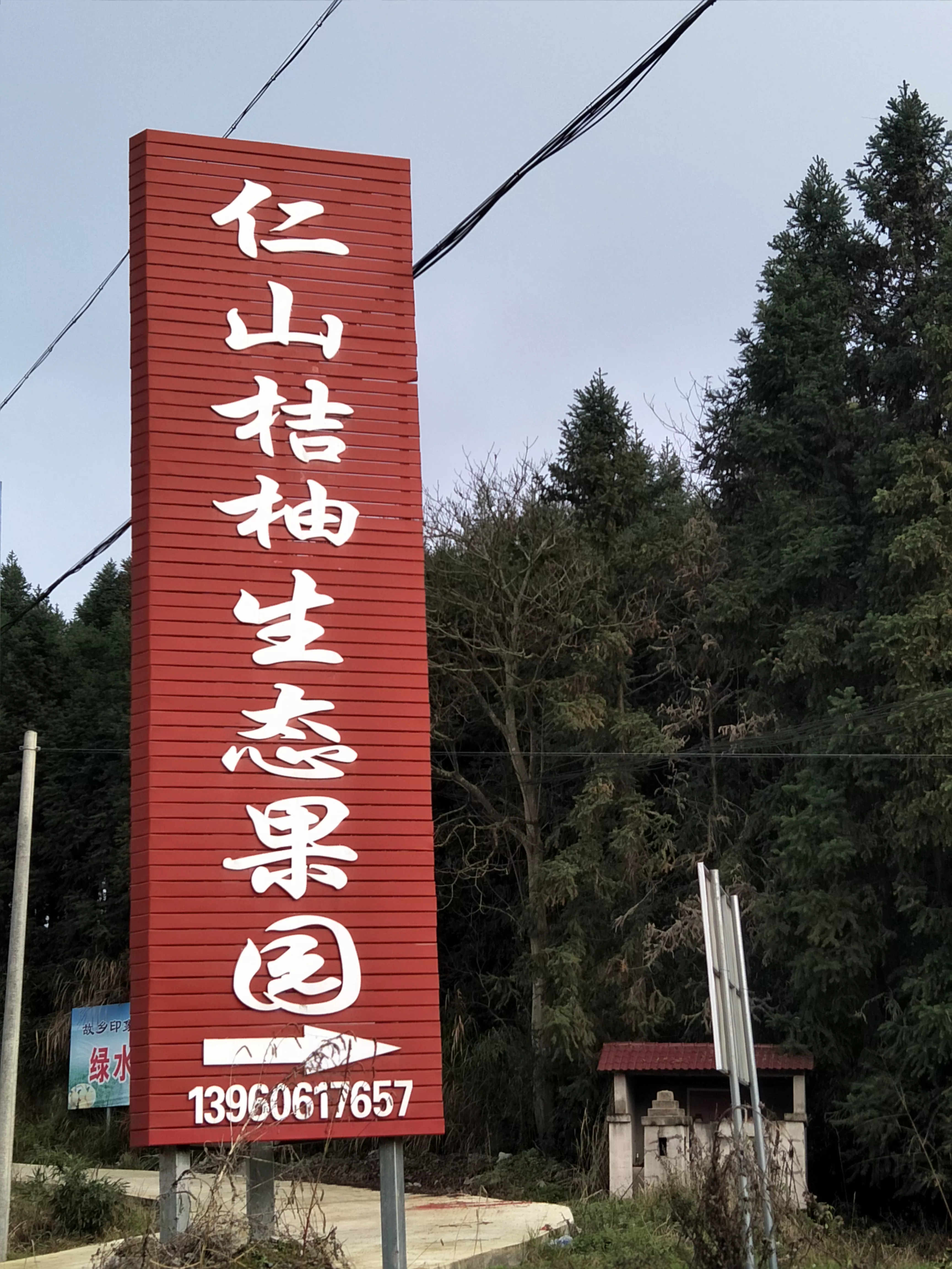 南平市建阳区仁山桔柚生态果园,建阳桔柚,建阳桔柚生态果园