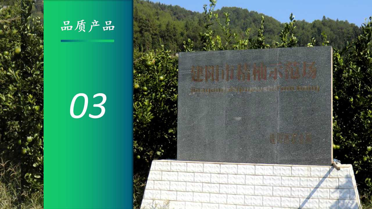 幻灯片14.jpg