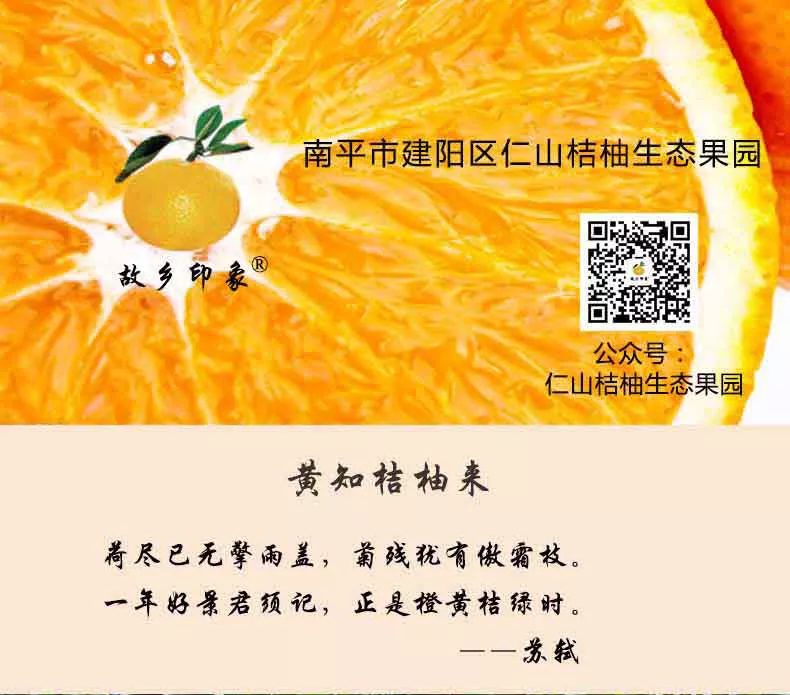 黄知桔柚来