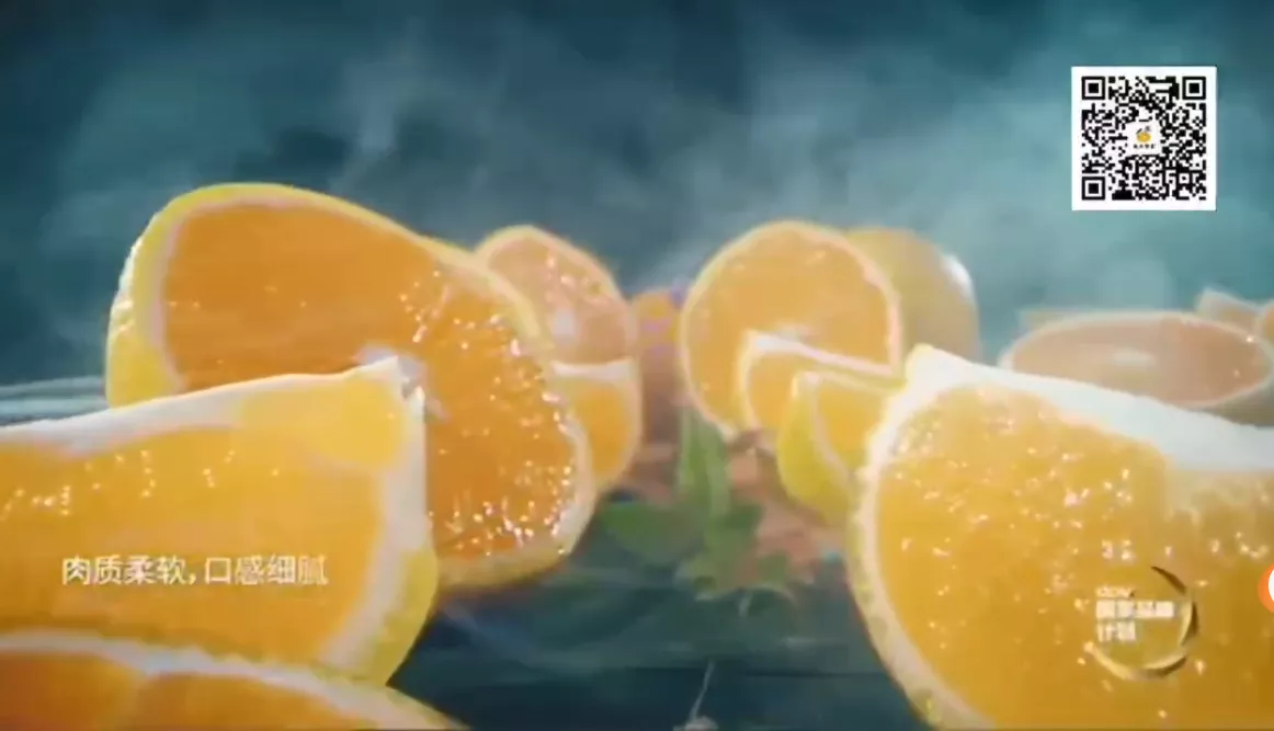 建阳桔柚